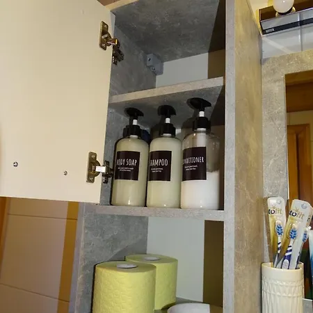 Ctn木屋度假屋 * 哈尔施塔特